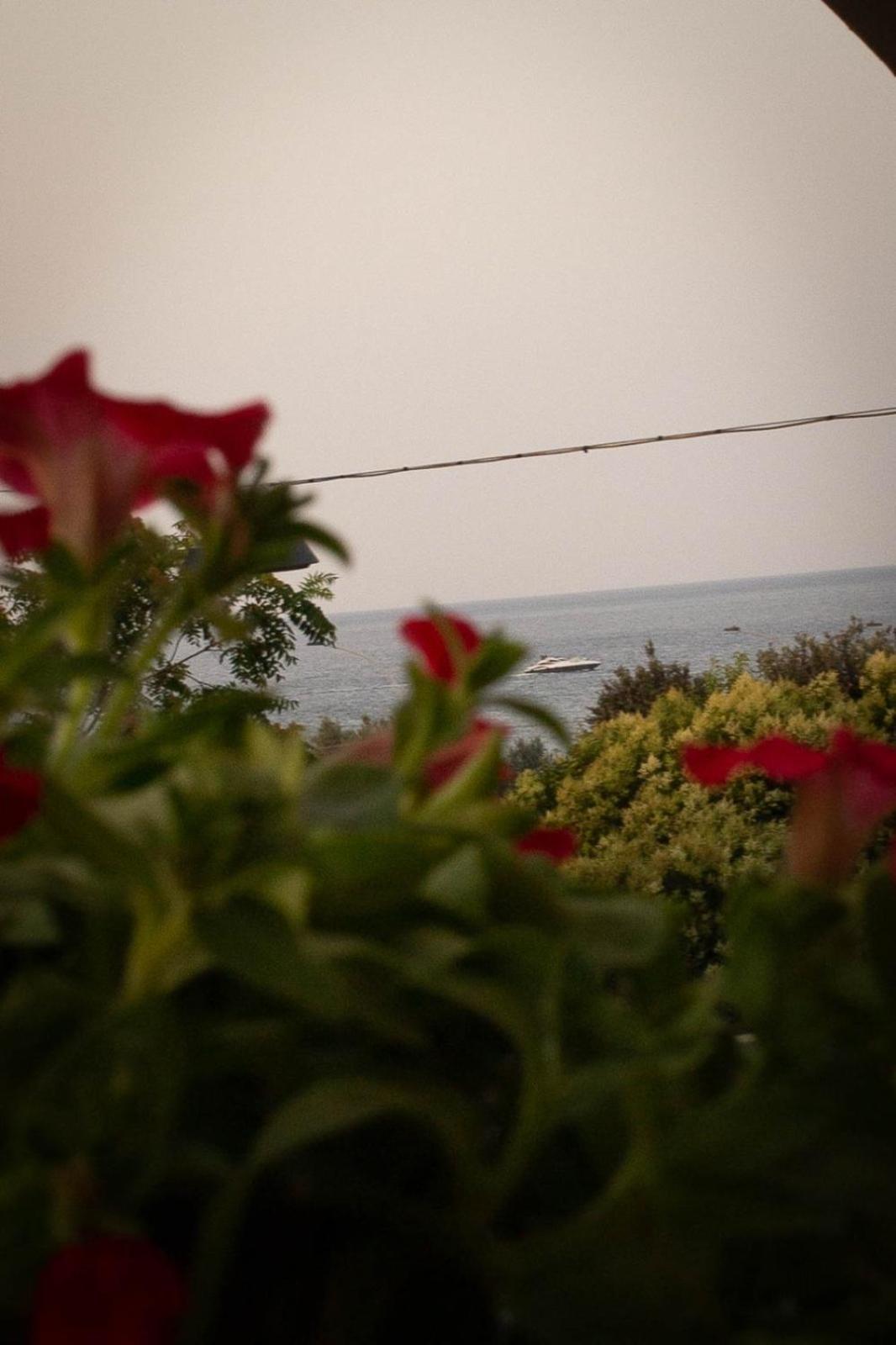 La Casa Di Mest Pepp Monopoli Buitenkant foto